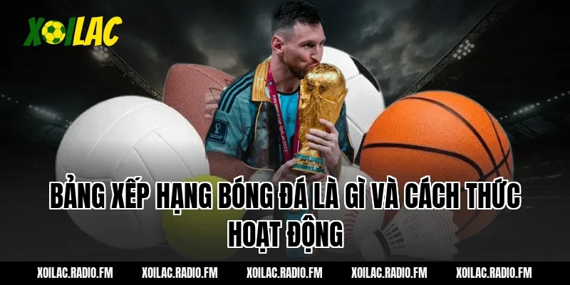 Bảng xếp hạng bóng đá là gì và cách thức hoạt động